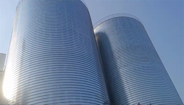 丰润2座混凝土高架卷板仓